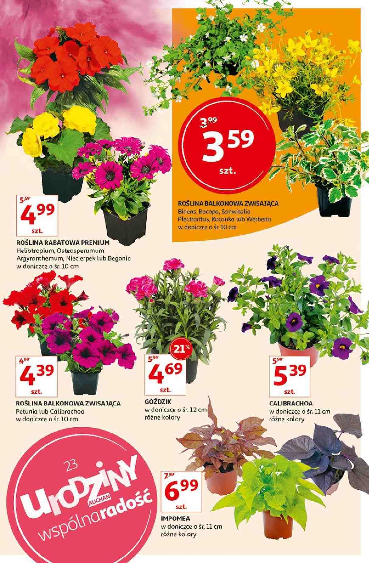 Gazetka promocyjna Auchan str. 3