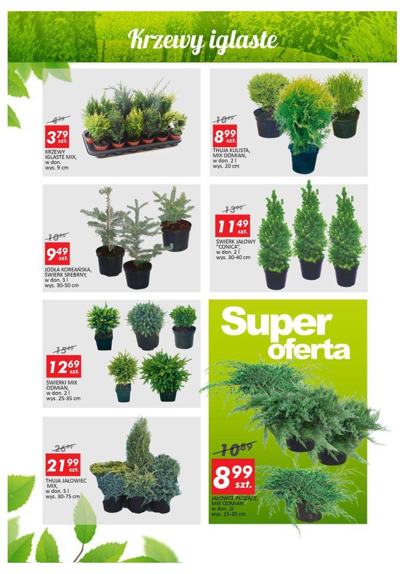 Gazetka promocyjna Auchan str. 12