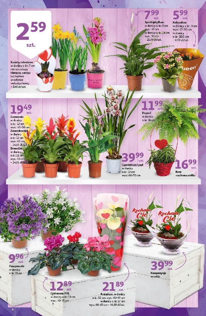 Gazetka promocyjna Auchan str. 6