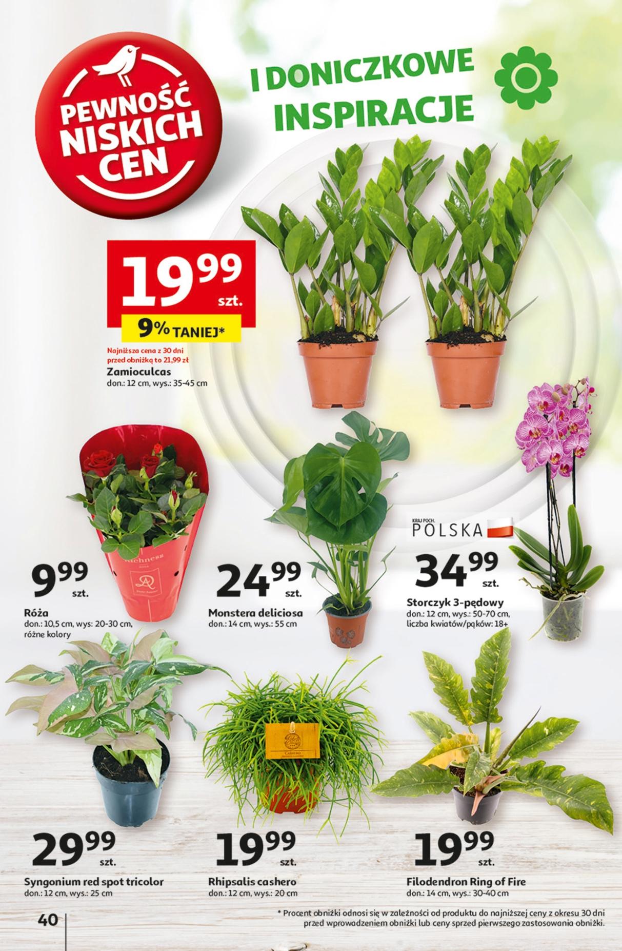Gazetka promocyjna Auchan str. 49