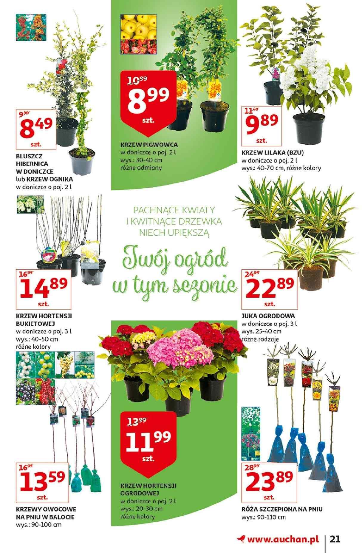 Gazetka promocyjna Auchan str. 21