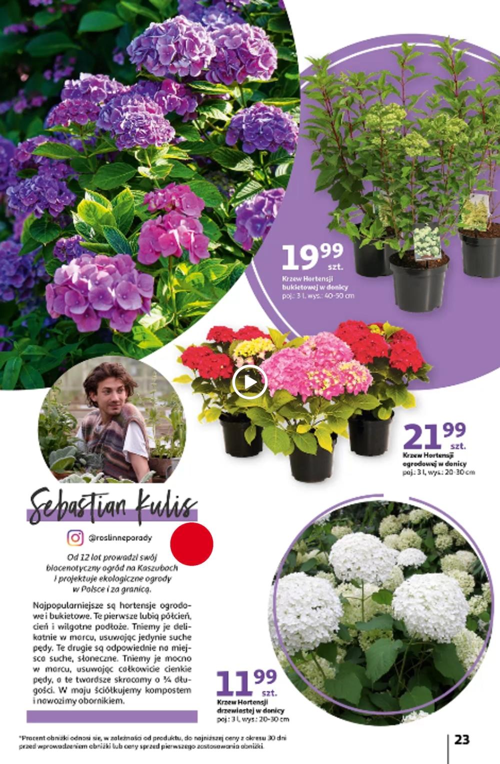 Gazetka promocyjna Auchan str. 23