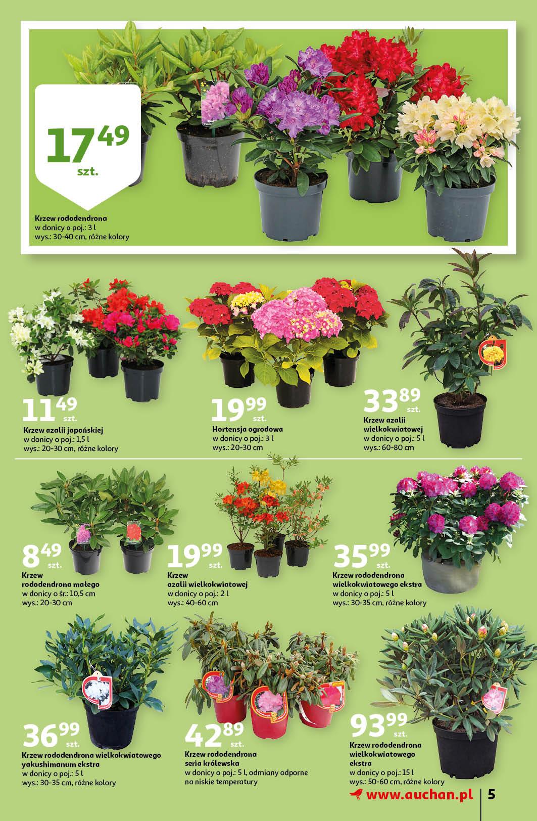 Gazetka promocyjna Auchan str. 5