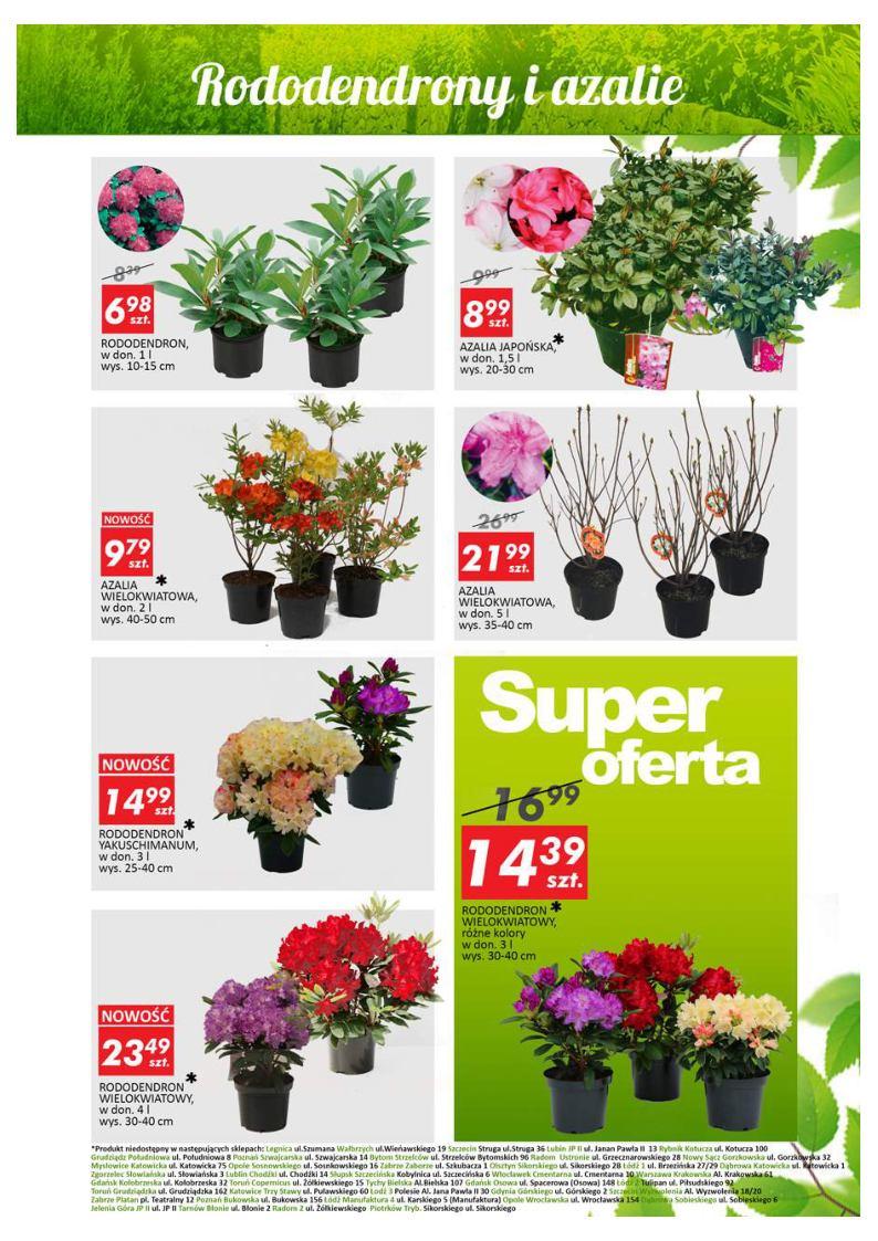 Gazetka promocyjna Auchan str. 11