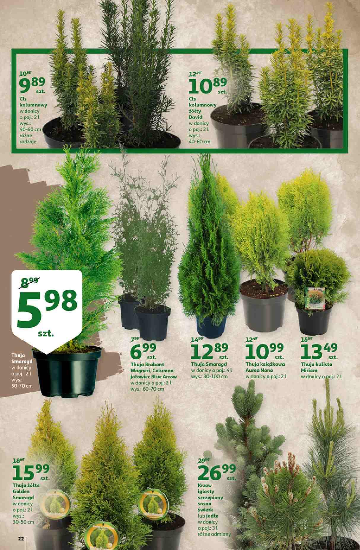 Gazetka promocyjna Auchan str. 22