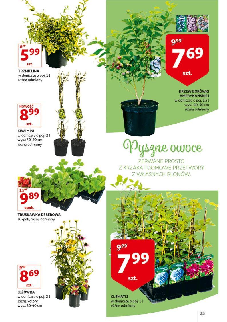 Gazetka promocyjna Auchan str. 25