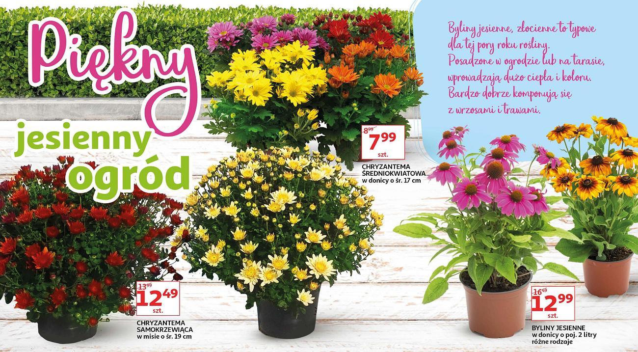 Gazetka promocyjna Auchan str. 4