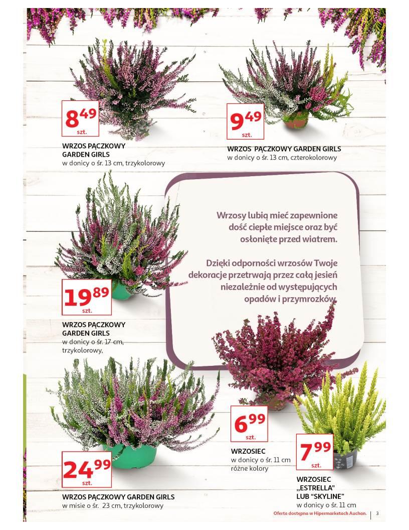Gazetka promocyjna Auchan str. 3