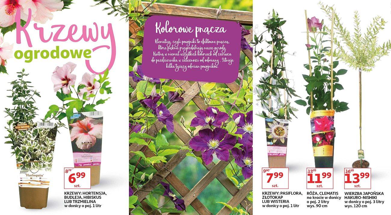 Gazetka promocyjna Auchan str. 7