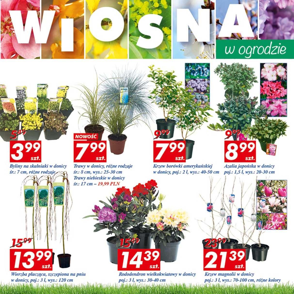 Gazetka promocyjna Auchan str. 15