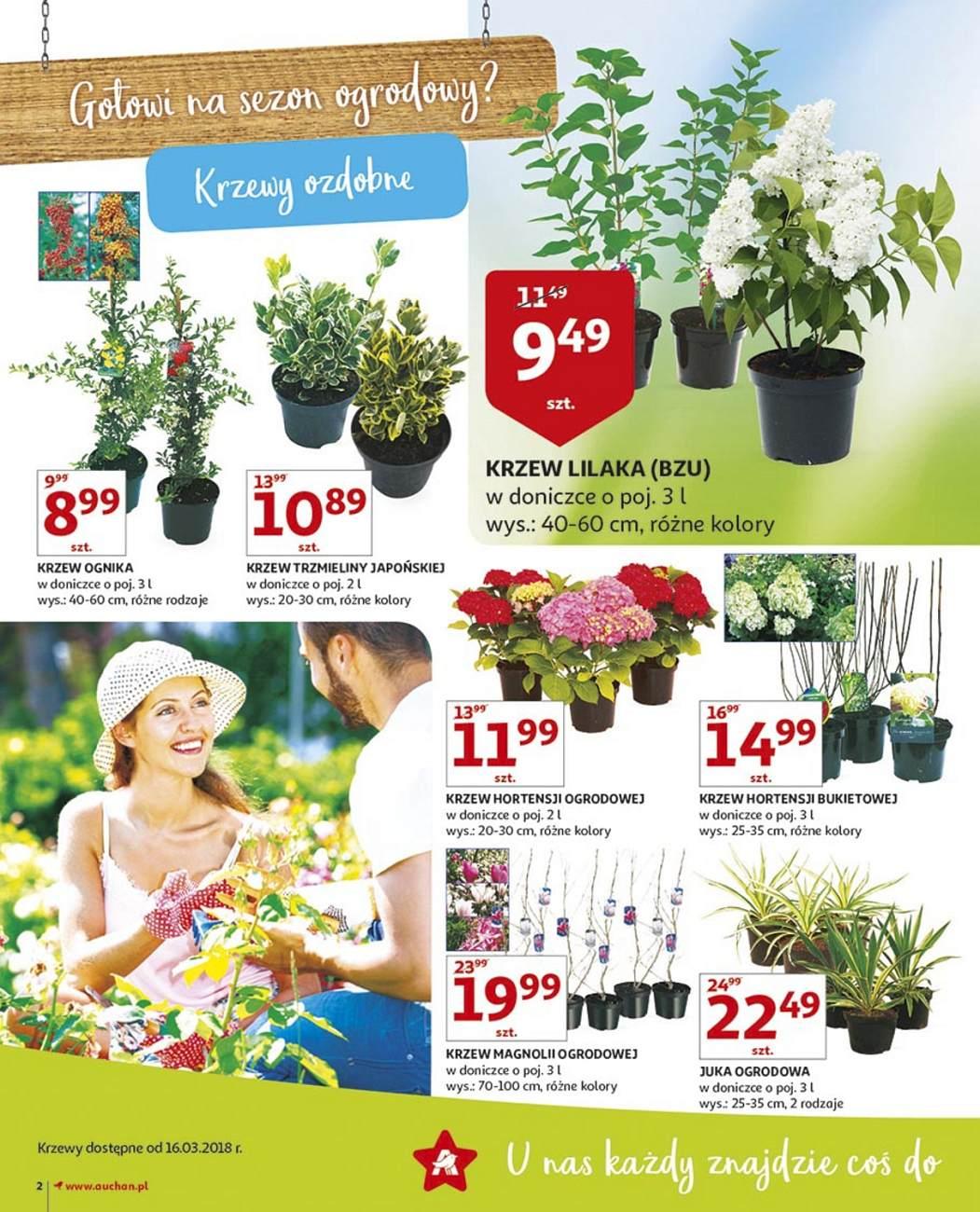 Gazetka promocyjna Auchan str. 2