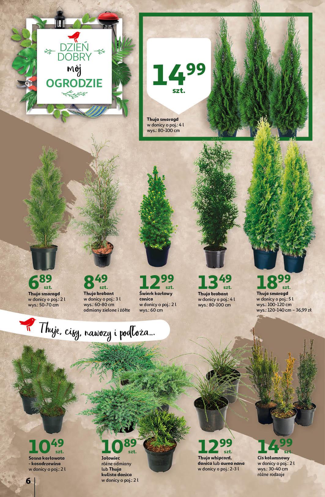 Gazetka promocyjna Auchan str. 6