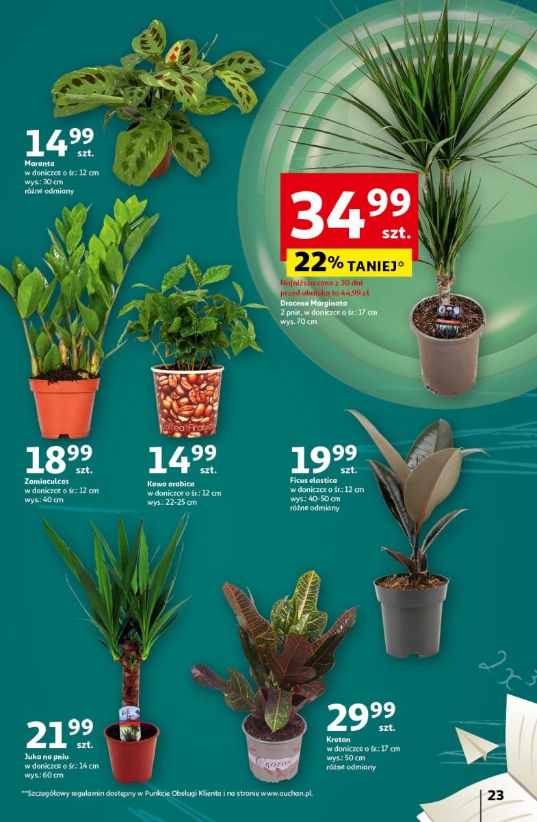 Gazetka promocyjna Auchan str. 25