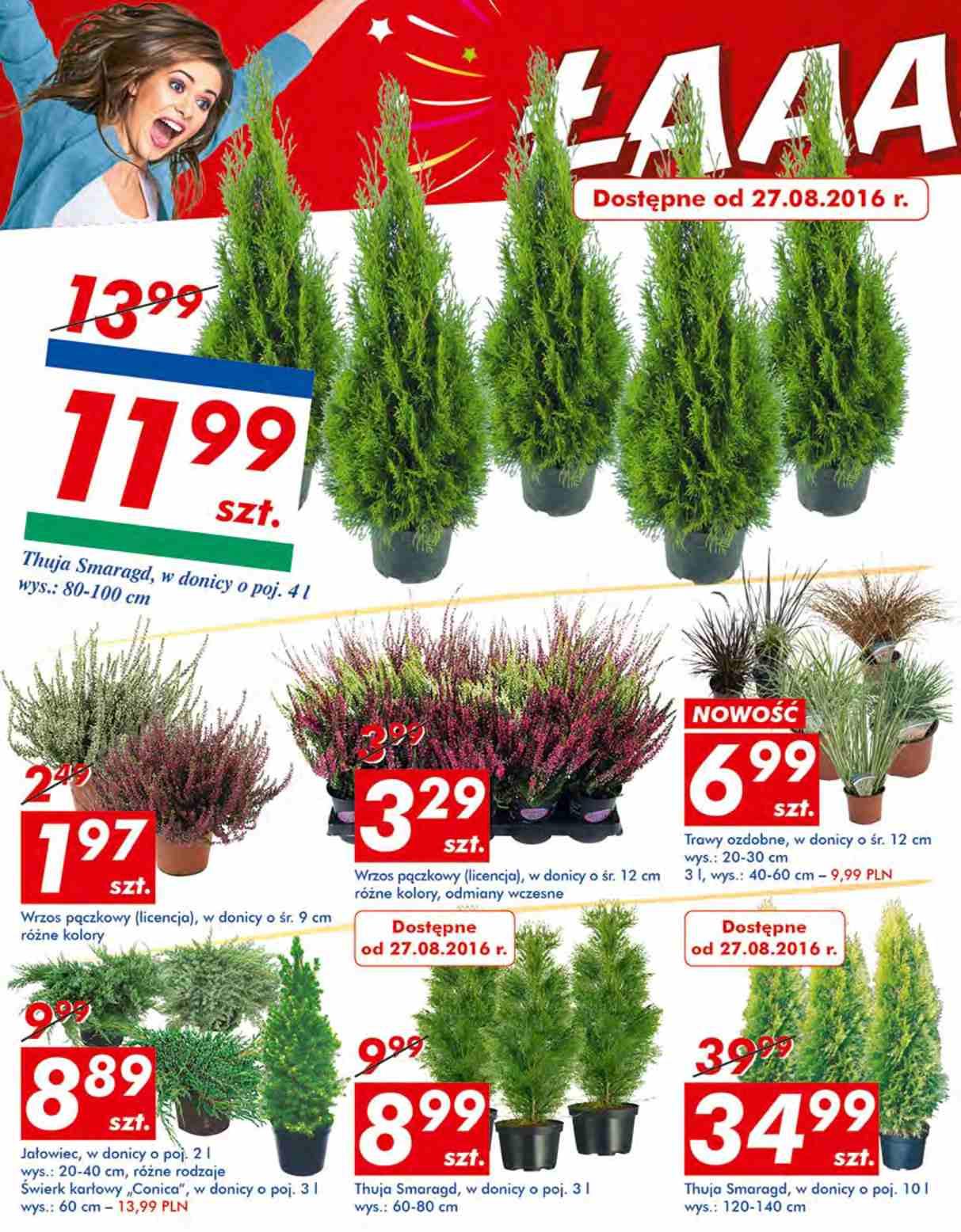 Gazetka promocyjna Auchan str. 23