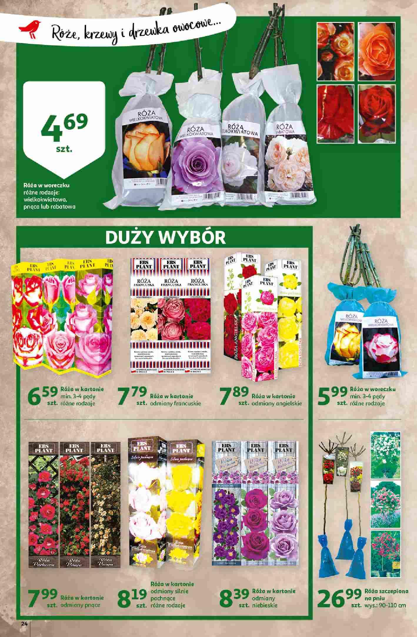 Gazetka promocyjna Auchan str. 24