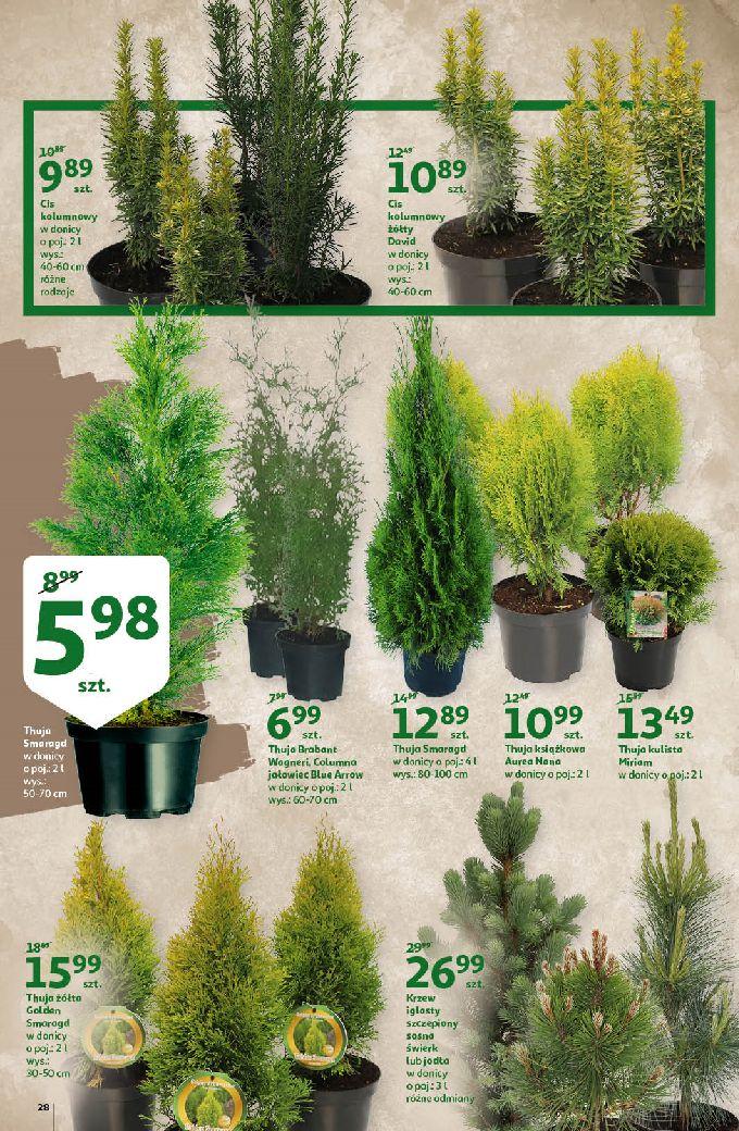 Gazetka promocyjna Auchan str. 28