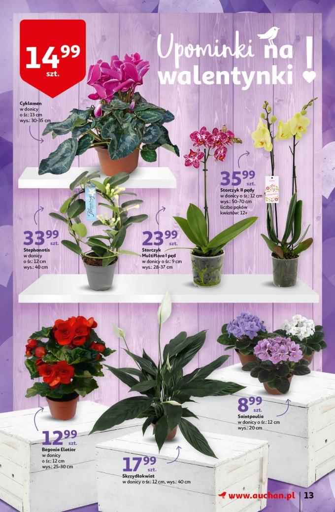 Gazetka promocyjna Auchan str. 13