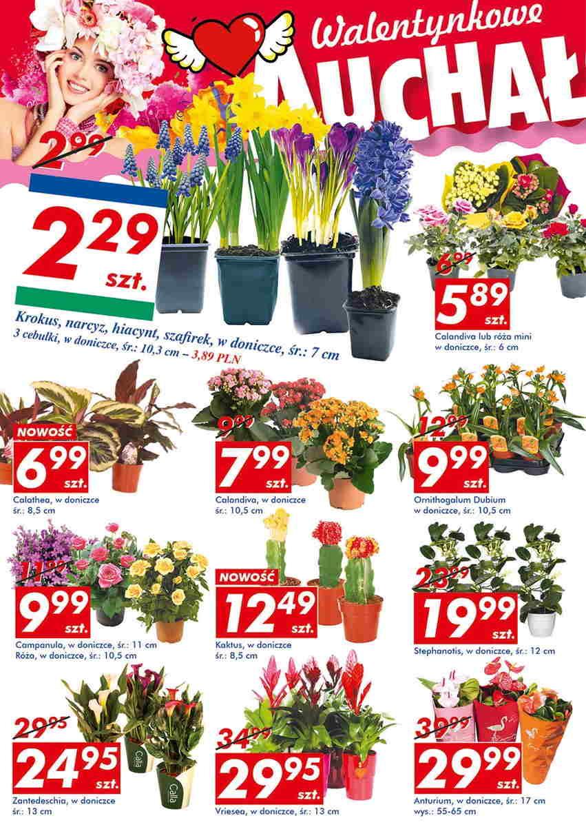 Gazetka promocyjna Auchan str. 14