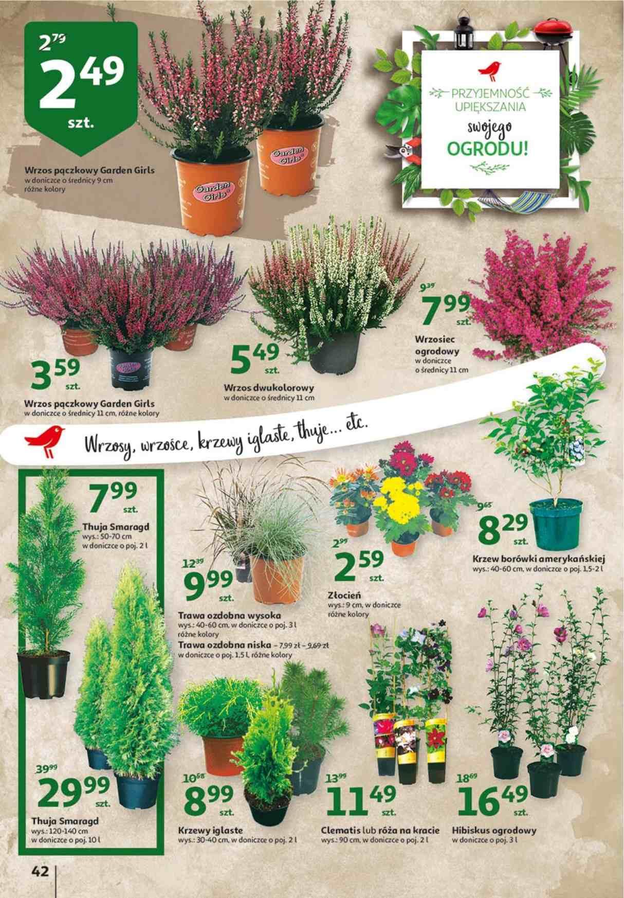 Gazetka promocyjna Auchan str. 42