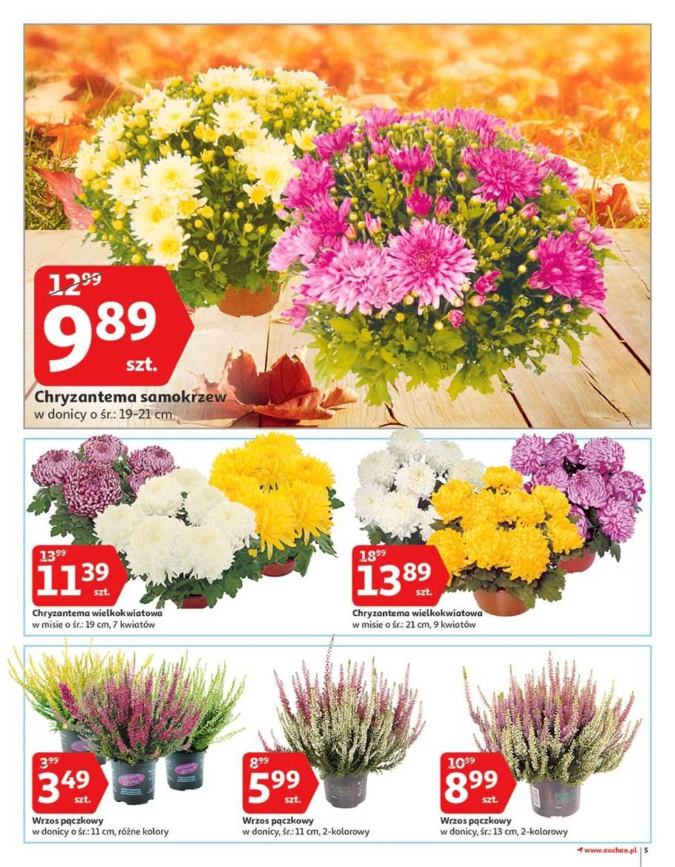 Gazetka promocyjna Auchan str. 5