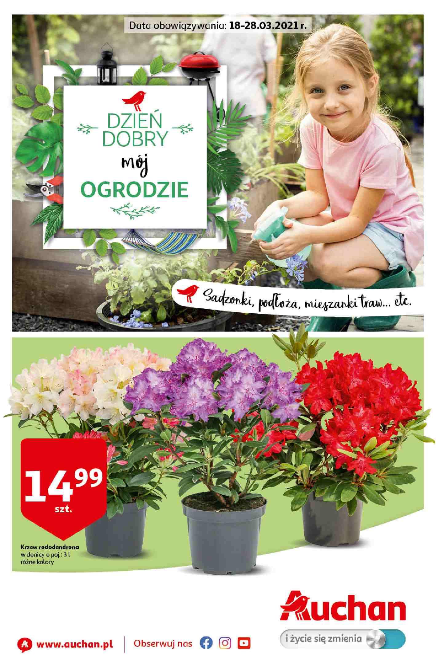 Gazetka promocyjna Auchan str. 1