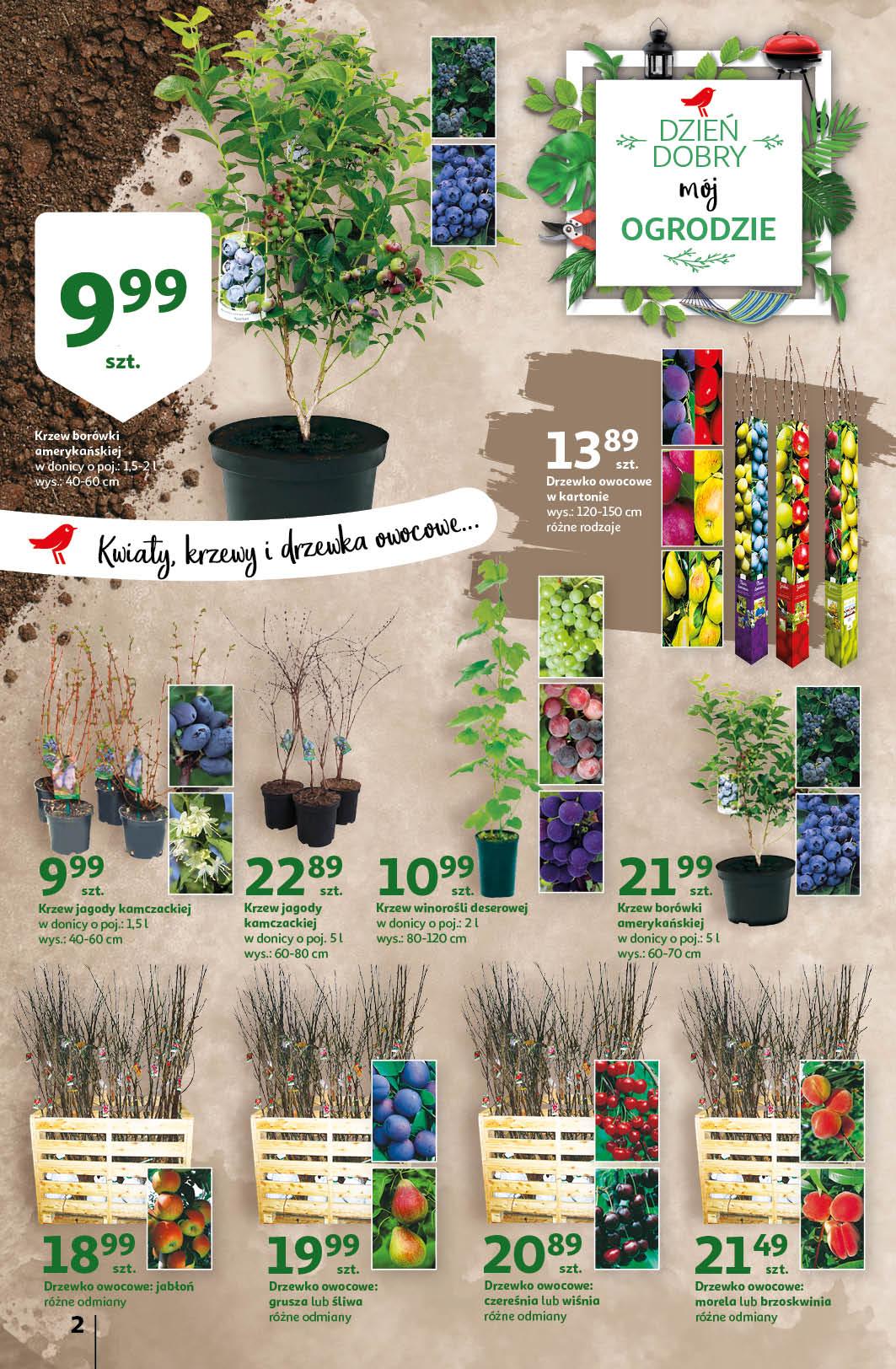 Gazetka promocyjna Auchan str. 2