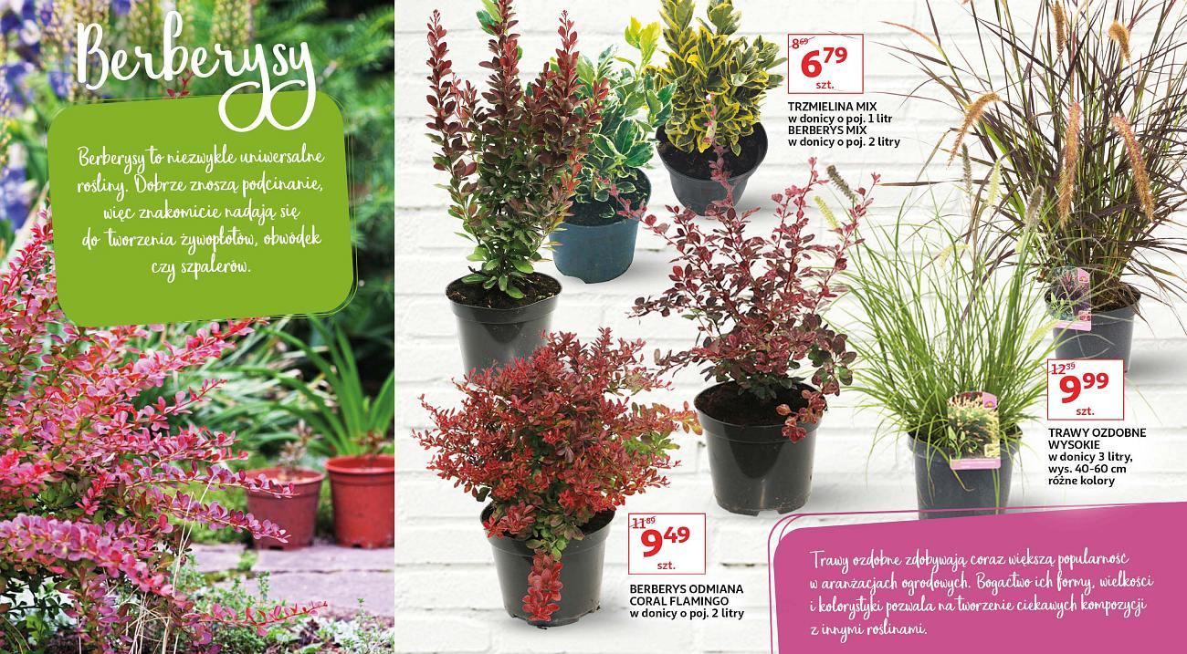 Gazetka promocyjna Auchan str. 5