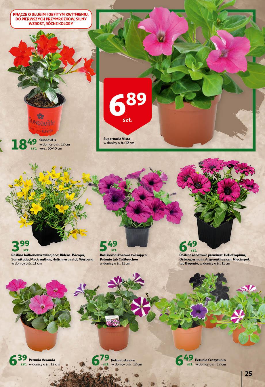 Gazetka promocyjna Auchan str. 25