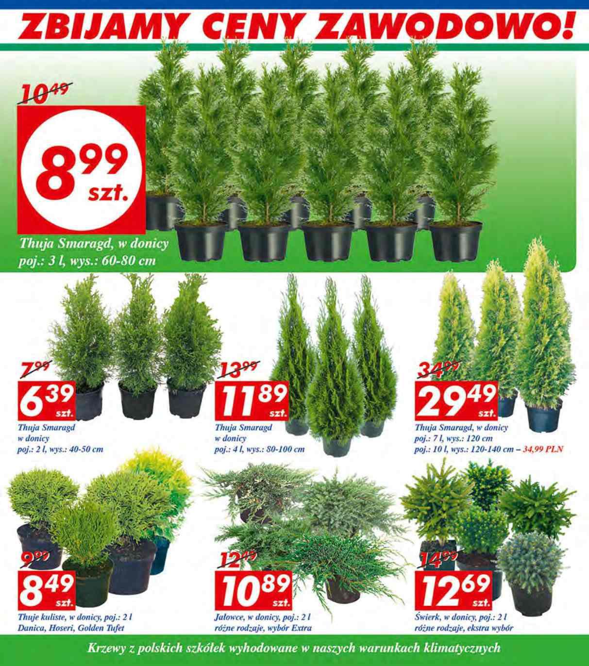 Gazetka promocyjna Auchan str. 5