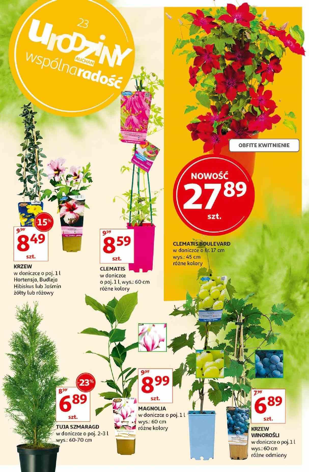 Gazetka promocyjna Auchan str. 7