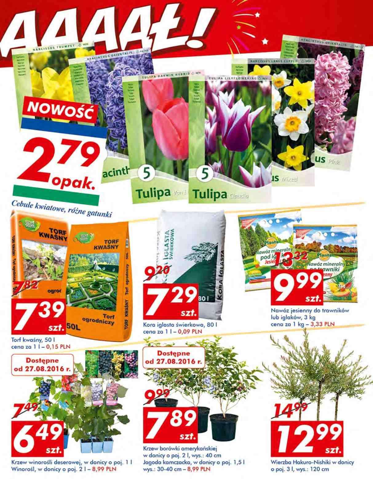 Gazetka promocyjna Auchan str. 24