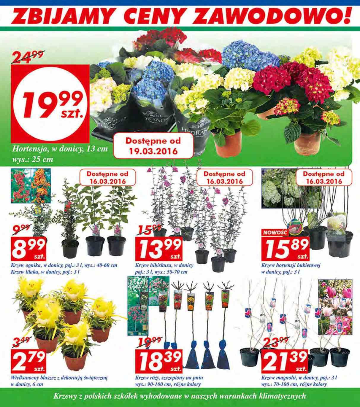 Gazetka promocyjna Auchan str. 3