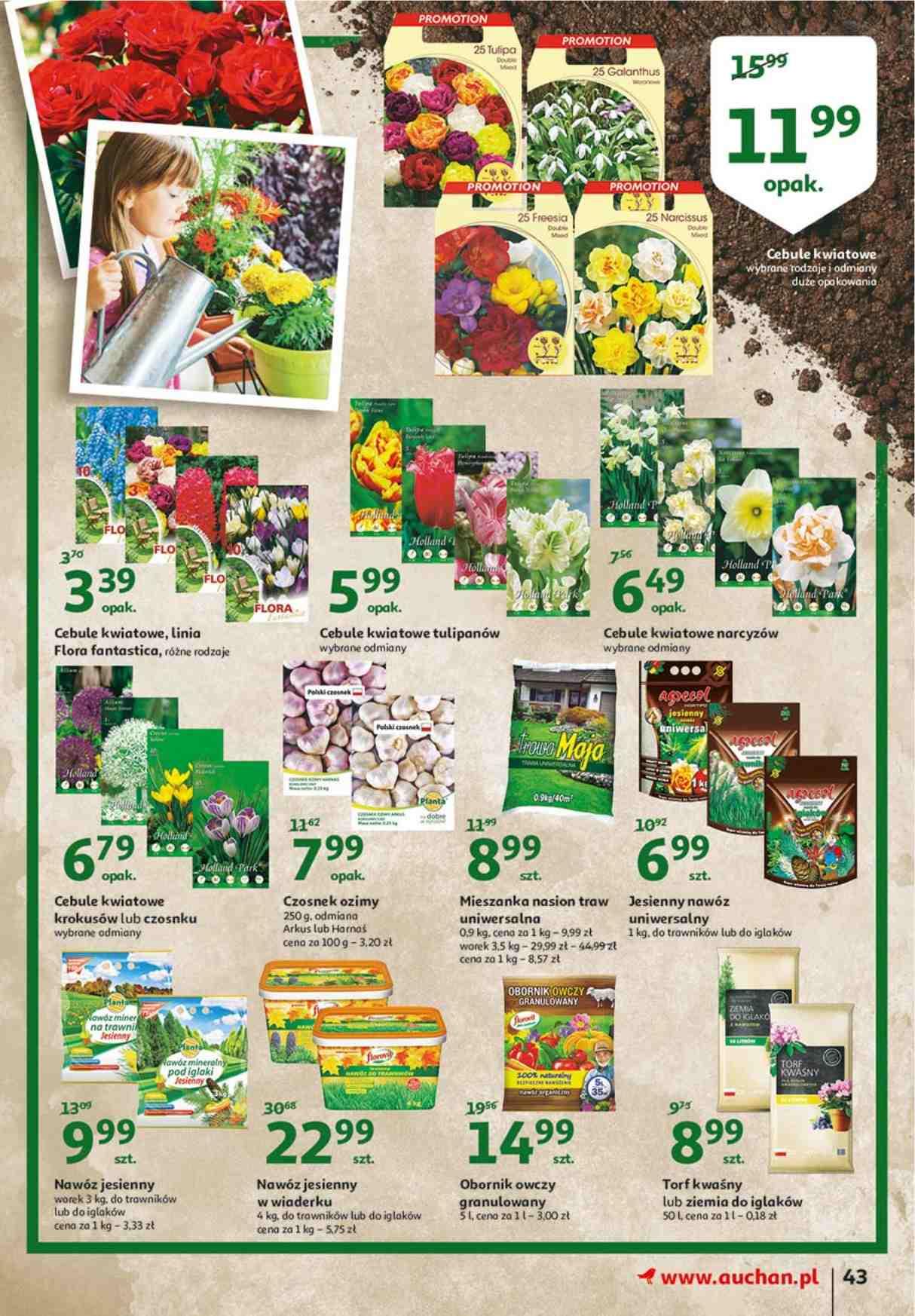 Gazetka promocyjna Auchan str. 43