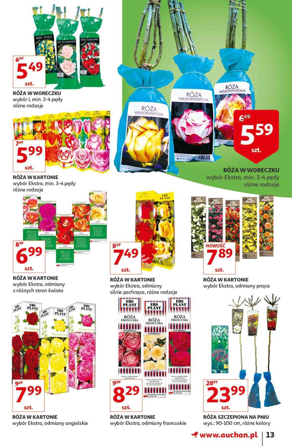 Gazetka promocyjna Auchan str. 13