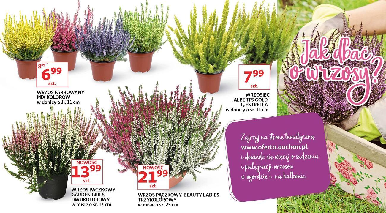 Gazetka promocyjna Auchan str. 3